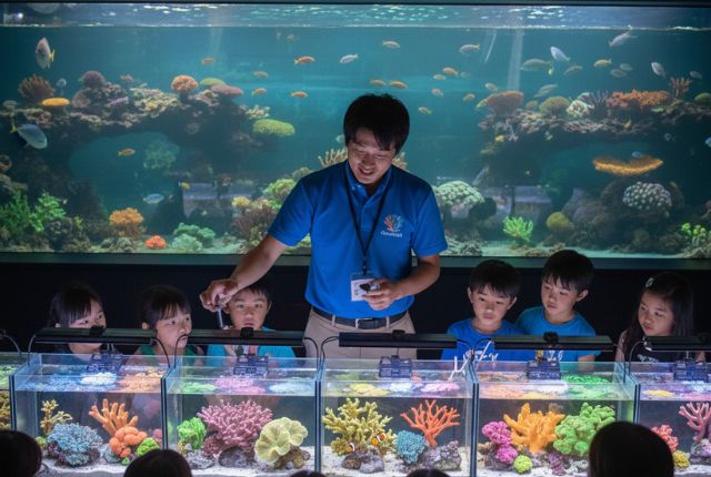 サンゴのひみつラボ