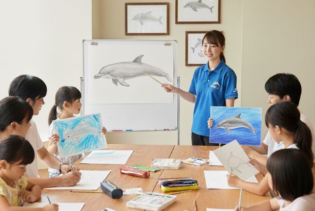 イルカのスケッチ教室